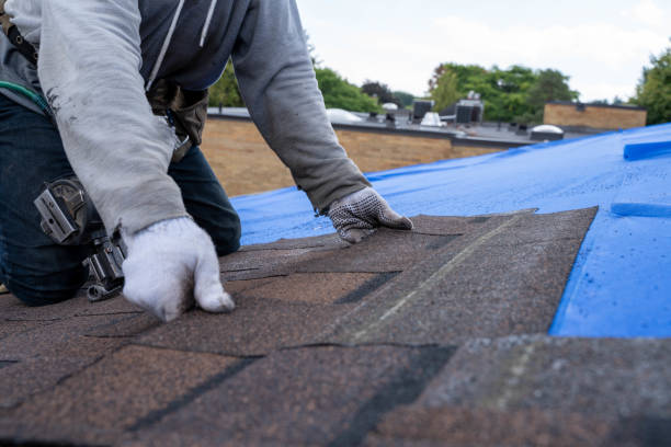Best Metal Roofing Installation  in Fivepointville, PA